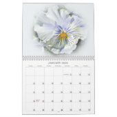 パンジーのカレンダー カレンダー (1月 2026)