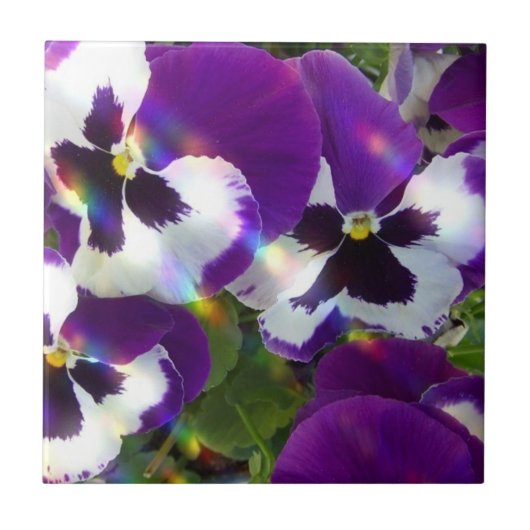 パンジーのタイルかTrivets タイル (正面)