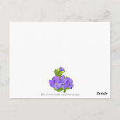 パンジーのパッチワーク ポストカード (裏面)