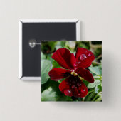 パンジーの上の雨滴 缶バッジ (正面&裏面)