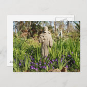 パンジーの中の聖フランシス ポストカード (正面/裏面)