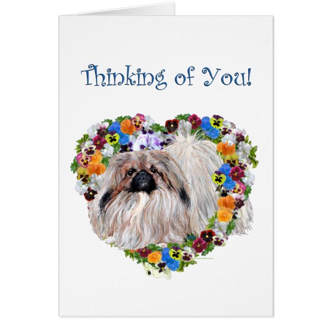 パンジーの北京 (正面)