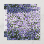 パンジーの招待状 招待状 (正面/裏面)