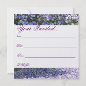 パンジーの招待状 招待状 (裏面)