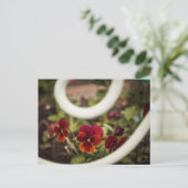 パンジーはがき ポストカード (スタンド正面)