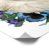 パンジーを含む白いペキン語 ポスター (角)