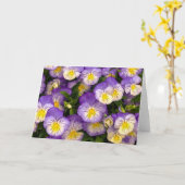 パンジーグリーティングカード カード (黄色い花)