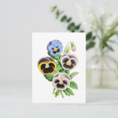 パンジーファンシーヴィンテージイラストレーション ポストカード (スタンド正面)