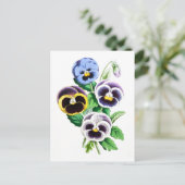 パンジーヴィンテージ植物葉書 ポストカード (スタンド正面)