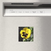 パンジー磁石 マグネット (インサイチュ (食洗機))