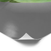 パンジー紫ホワイト ポスター (コーナー)