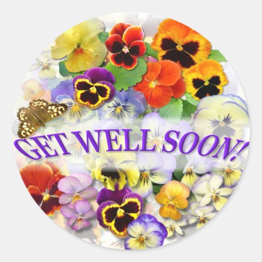パンジー美しいバットラフライGet Well ラウンドシール (正面)