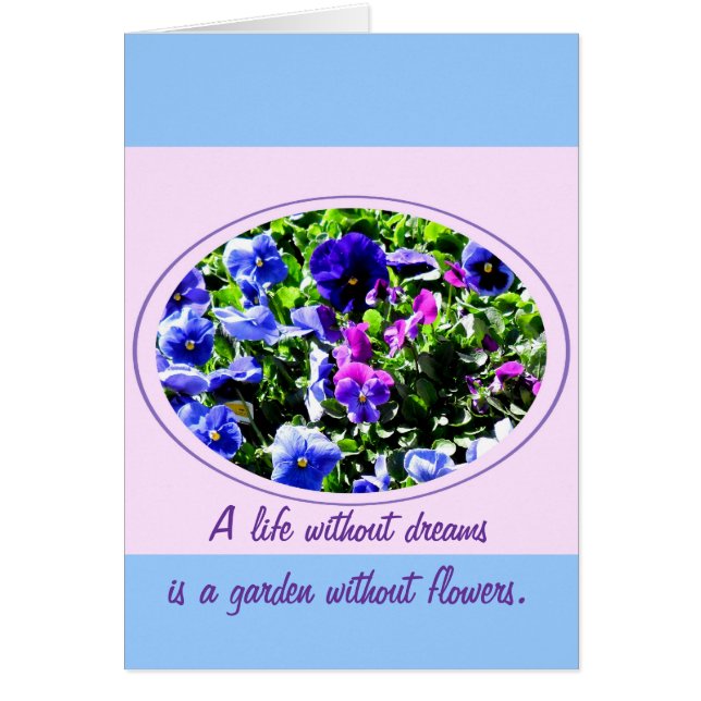 パンジー (正面)