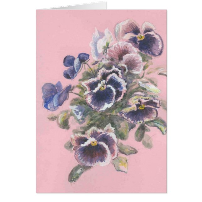 パンジー (正面)