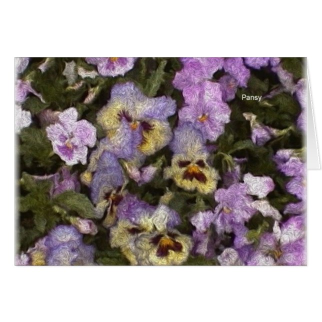 パンジー01 (正面横)