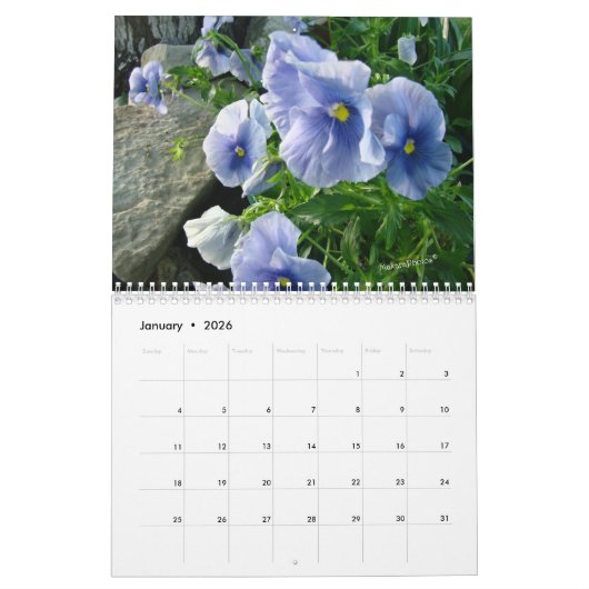 パンジー2016は必要とされる年をカレンダーカスタマイズ カレンダー (1月 2026)