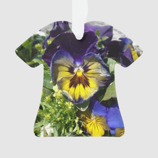 パンジー！ オーナメント (正面)
