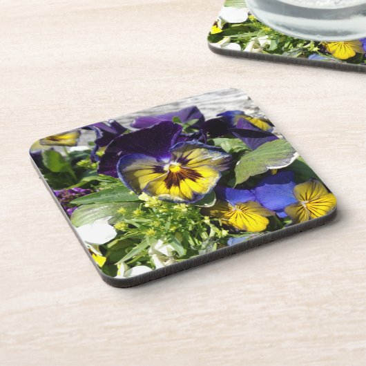 パンジー！ コースター (左側)