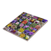 パンジー タイル (側面)