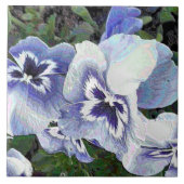 パンジー タイル (正面)