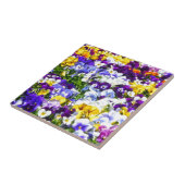 パンジー タイル (側面)