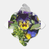 パンジー！ フェイバーボックス (折り畳みなし)