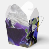 パンジー！ フェイバーボックス (オープン)