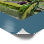 パンジー ポスター (コーナー)