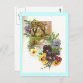 パンジー ポストカード (正面/裏面)