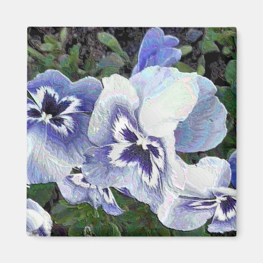 パンジー マグネット (正面)