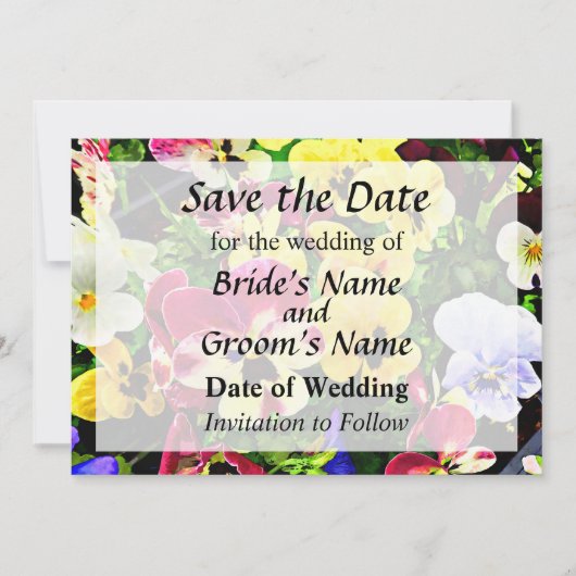 パンジー ミックスカラー Save the Date セーブザデート (正面)