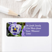 パンジー ラベル (インサイチュ)