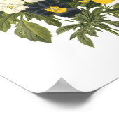 パンジー（ヴィオラsp.）by Redoune ポスター (角)