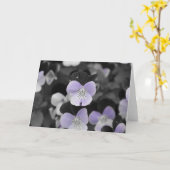 パンジー/孤立カラー カード (黄色い花)