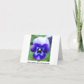 パンジー 感謝の気持ちを伝えるカード サンキューカード (裏面)