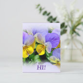 パンジー – 紫色の黄色 ポストカード (スタンド正面)