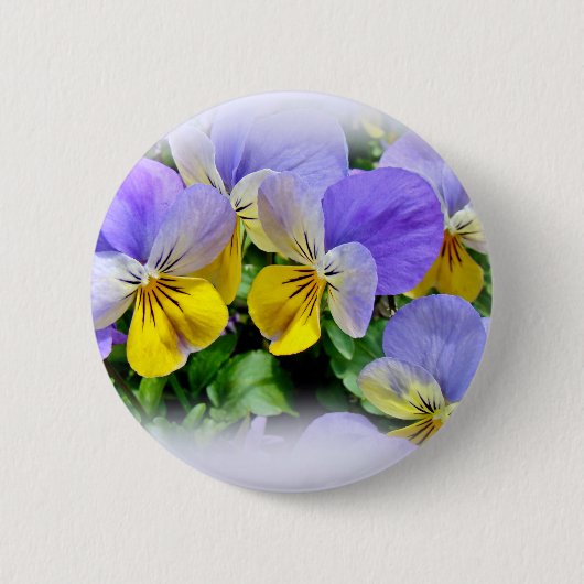 パンジー – 紫色の黄色 缶バッジ (正面)