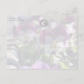 パンジーCC0474花お祝いはがき インビテーションポストカード (裏面)