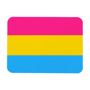 パンセクシャルプライド国旗LGBTQ マグネット