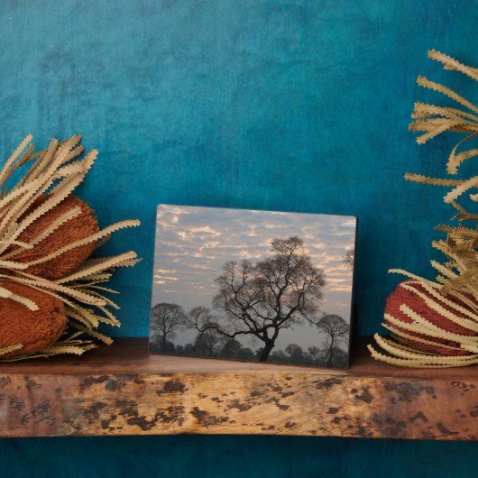 パンタナル湿地帯 |南米、ブラジル フォトプラーク (側面)