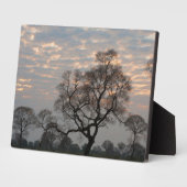 パンタナル湿地帯 |南米、ブラジル フォトプラーク (側面)