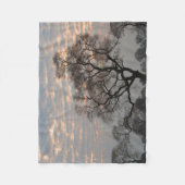 パンタナル湿地帯 |南米、ブラジル フリースブランケット (正面)