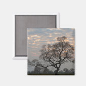 パンタナル湿地帯 |南米、ブラジル マグネット (正面/裏面)