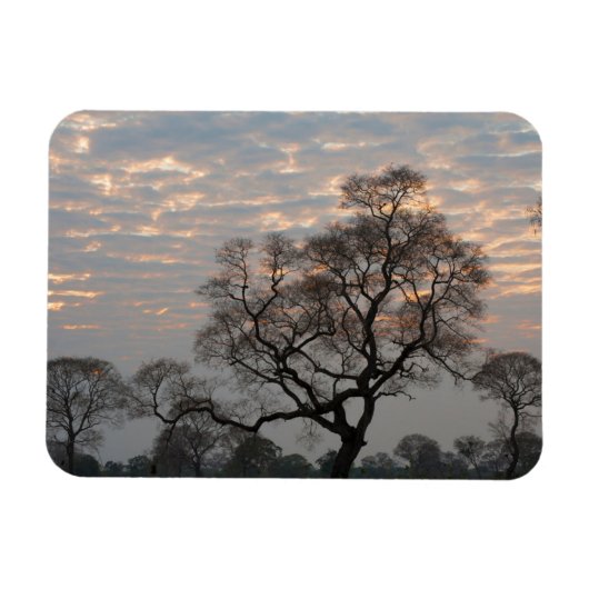 パンタナル湿地帯 |南米、ブラジル マグネット (横)