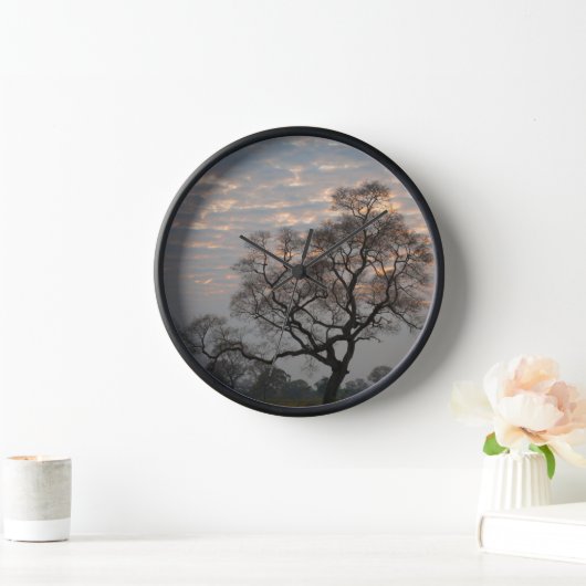 パンタナル湿地帯 |南米、ブラジル 壁時計 (ホーム)