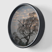 パンタナル湿地帯 |南米、ブラジル 壁時計 (傾斜)