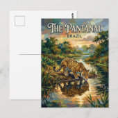 パンタナル湿地 ブラジル ポストカード (正面/裏面)