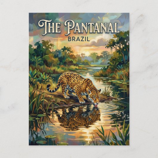 パンタナル湿地 ブラジル ポストカード (正面)