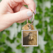 パンタナル、ブラジル、カピバラ、ハイドロコーラス キーホルダー (手)