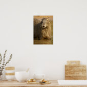 パンタナル、ブラジル、カピバラ、ハイドロコーラス ポスター (キッチン)